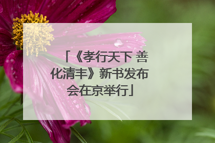 《孝行天下 善化清丰》新书发布会在京举行