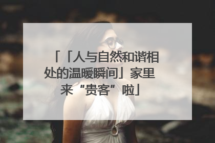「人与自然和谐相处的温暖瞬间」家里来“贵客”啦