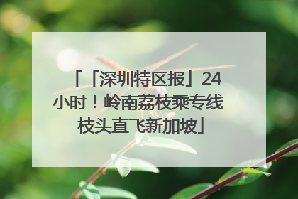 「深圳特区报」24小时！岭南荔枝乘专线 枝头直飞新加坡