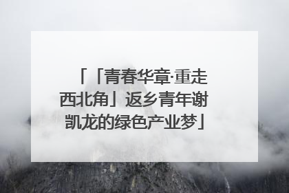 「青春华章·重走西北角」返乡青年谢凯龙的绿色产业梦