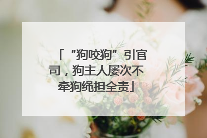“狗咬狗”引官司，狗主人屡次不牵狗绳担全责