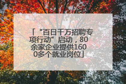 “百日千万招聘专项行动”启动，80余家企业提供1600多个就业岗位