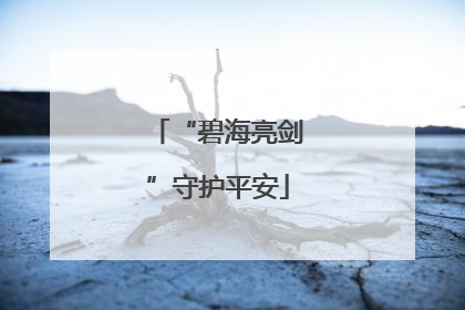 “碧海亮剑”守护平安