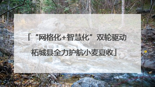 “网格化+智慧化”双轮驱动 柘城县全力护航小麦夏收