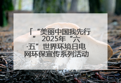 “美丽中国我先行” 2025年“六·五”世界环境日电网环保宣传系列活动——多场景联动，共筑生态发展新图景