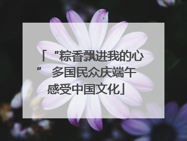 “粽香飘进我的心” 多国民众庆端午感受中国文化