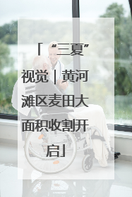 “三夏”视觉｜黄河滩区麦田大面积收割开启