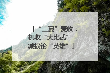 “三夏”麦收：机收“大比武” 减损论“英雄”
