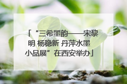 “三希墨韵——宋黎明 杨稳新 丹萍水墨小品展”在西安举办