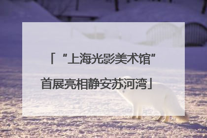 “上海光影美术馆”首展亮相静安苏河湾