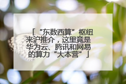 “东数西算”枢纽来沪推介，这里竟是华为云、腾讯和网易的算力“大本营”