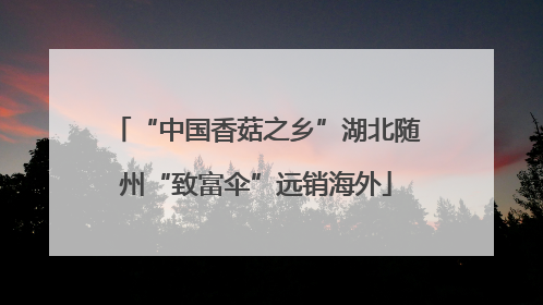 “中国香菇之乡”湖北随州“致富伞”远销海外