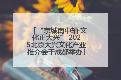 “京城南中轴·文化正大兴” 2025北京大兴文化产业推介会于成都举办