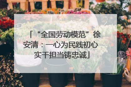 “全国劳动模范”徐安清：一心为民践初心 实干担当铸忠诚