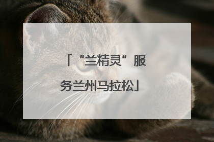 “兰精灵”服务兰州马拉松