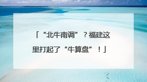 “北牛南调”？福建这里打起了“牛算盘”！