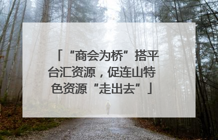 “商会为桥”搭平台汇资源，促连山特色资源“走出去”