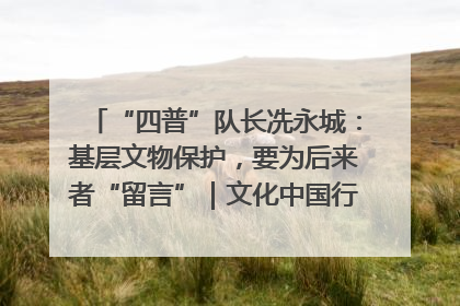 “四普”队长冼永城：基层文物保护，要为后来者“留言”｜文化中国行·我在广东找文物