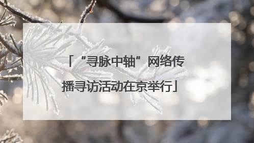 “寻脉中轴”网络传播寻访活动在京举行