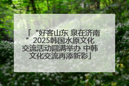 “好客山东 泉在济南”2025韩国水原文化交流活动圆满举办 中韩文化交流再添新彩