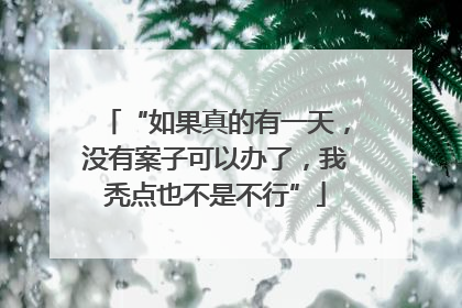 “如果真的有一天，没有案子可以办了，我秃点也不是不行”