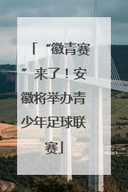 “徽青赛”来了！安徽将举办青少年足球联赛