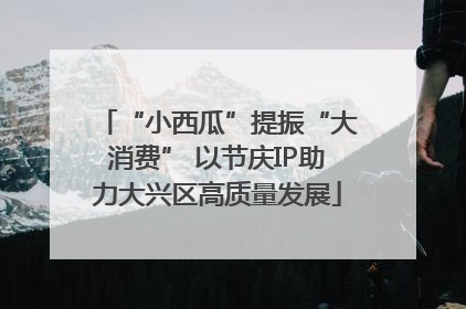 “小西瓜”提振“大消费” 以节庆IP助力大兴区高质量发展