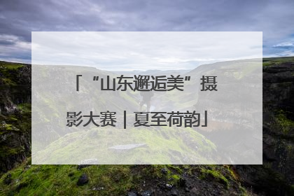 “山东邂逅美”摄影大赛｜夏至荷韵