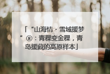 “山海情・雪域援梦”⑧：青稞变金稞，青岛援藏的高原样本