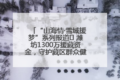 “山海情·雪域援梦”系列报道⑪ 潍坊1300万援藏资金，守护藏区群众健康“最后一公里”