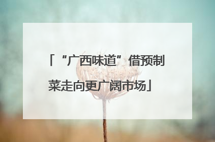 “广西味道”借预制菜走向更广阔市场