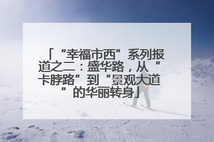“幸福市西”系列报道之二：盛华路，从“卡脖路”到“景观大道”的华丽转身