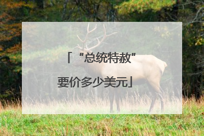 “总统特赦”要价多少美元