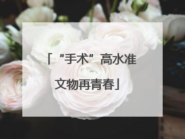 “手术”高水准 文物再青春