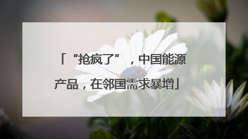 “抢疯了”，中国能源产品，在邻国需求暴增