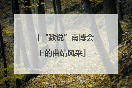 “数说”南博会上的曲靖风采