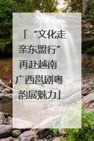 “文化走亲东盟行”再赴越南 广西邕剧粤韵展魅力