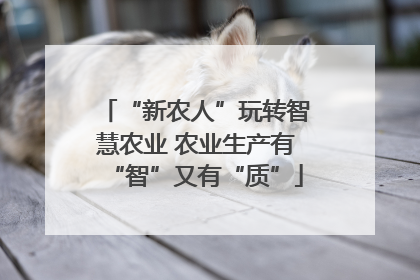 “新农人”玩转智慧农业 农业生产有“智”又有“质”
