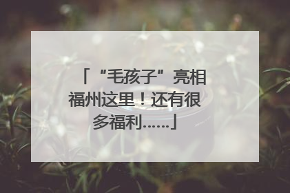 “毛孩子”亮相福州这里！还有很多福利……
