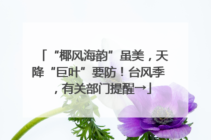 “椰风海韵”虽美，天降“巨叶”要防！台风季，有关部门提醒→