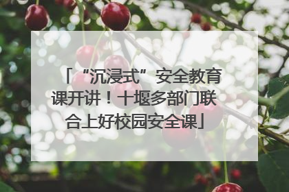“沉浸式”安全教育课开讲！十堰多部门联合上好校园安全课