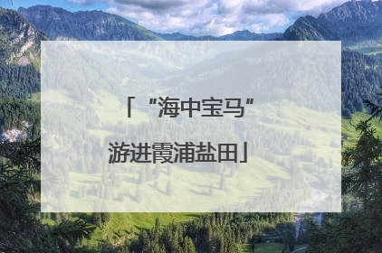 “海中宝马”游进霞浦盐田