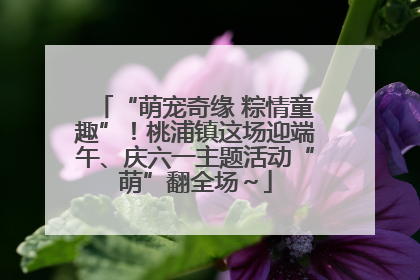 “萌宠奇缘 粽情童趣”！桃浦镇这场迎端午、庆六一主题活动“萌”翻全场～