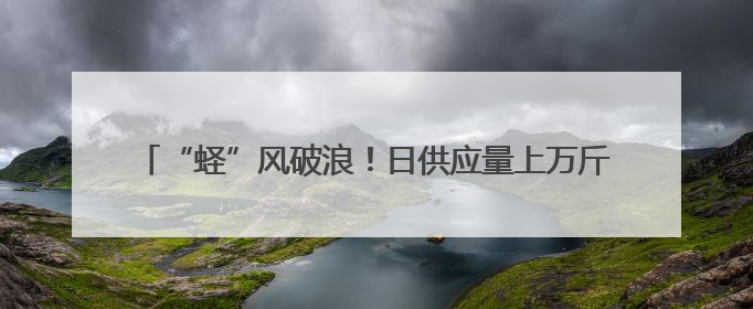 “蛏”风破浪！日供应量上万斤，青岛最大蛏子养殖区滩涂掘金
