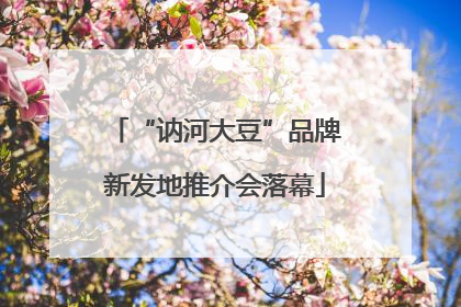 “讷河大豆”品牌新发地推介会落幕