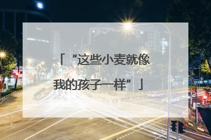 “这些小麦就像我的孩子一样”