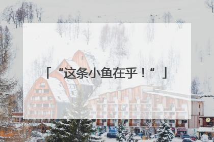 “这条小鱼在乎！”