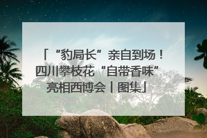“豹局长”亲自到场！四川攀枝花“自带香味”亮相西博会丨图集