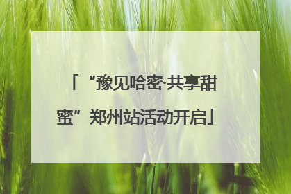“豫见哈密·共享甜蜜”郑州站活动开启