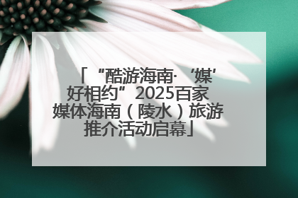 “酷游海南·‘媒’好相约”2025百家媒体海南（陵水）旅游推介活动启幕